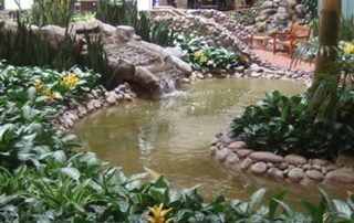 Atrium Interior Plants