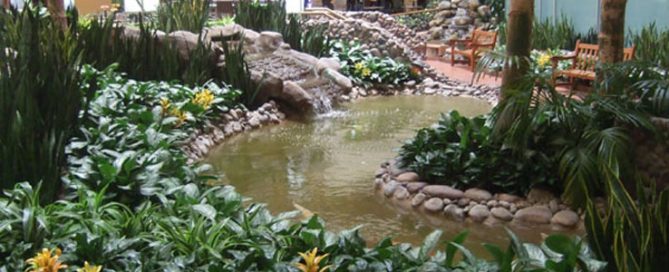 Atrium Interior Plants