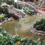 Atrium Interior Plants