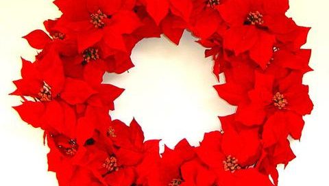 poinsettia wreath holiday