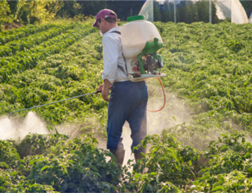 Pesticide Safety Tips